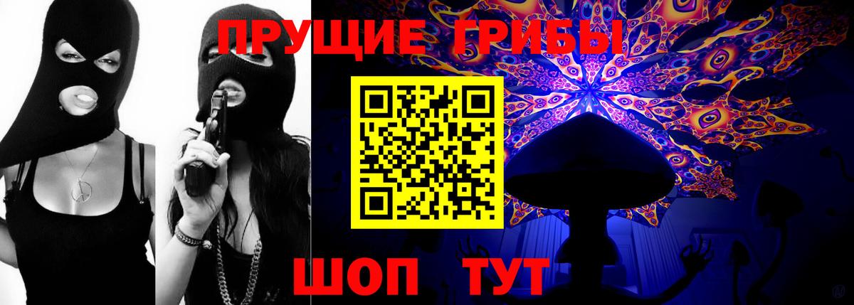 Псилоцибиновые грибы Cubensis Губкинский