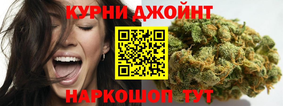 Канабис планчик Губкинский